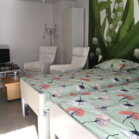 Bed & Breakfast De Ijsvogel 多尔威尔斯 外观 照片