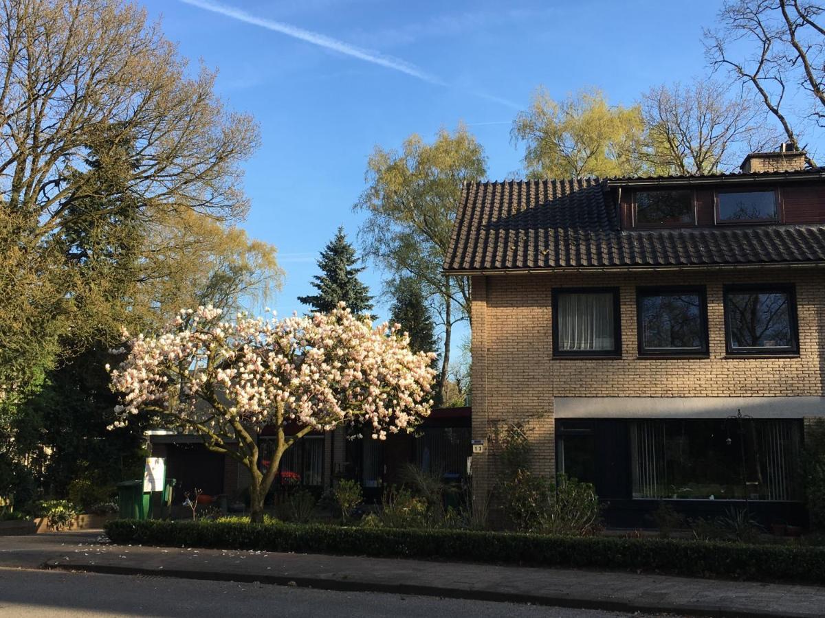Bed & Breakfast De Ijsvogel 多尔威尔斯 外观 照片