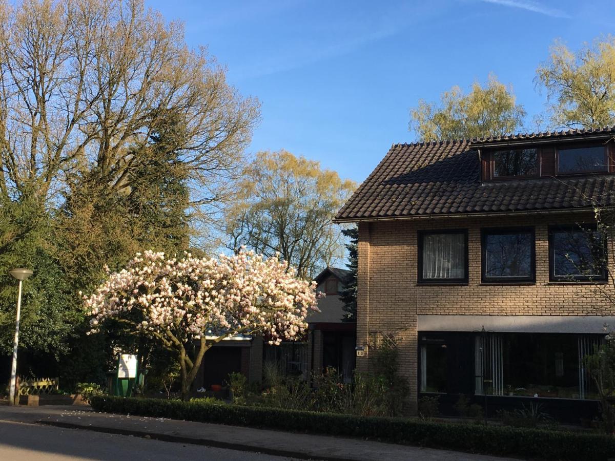 Bed & Breakfast De Ijsvogel 多尔威尔斯 外观 照片