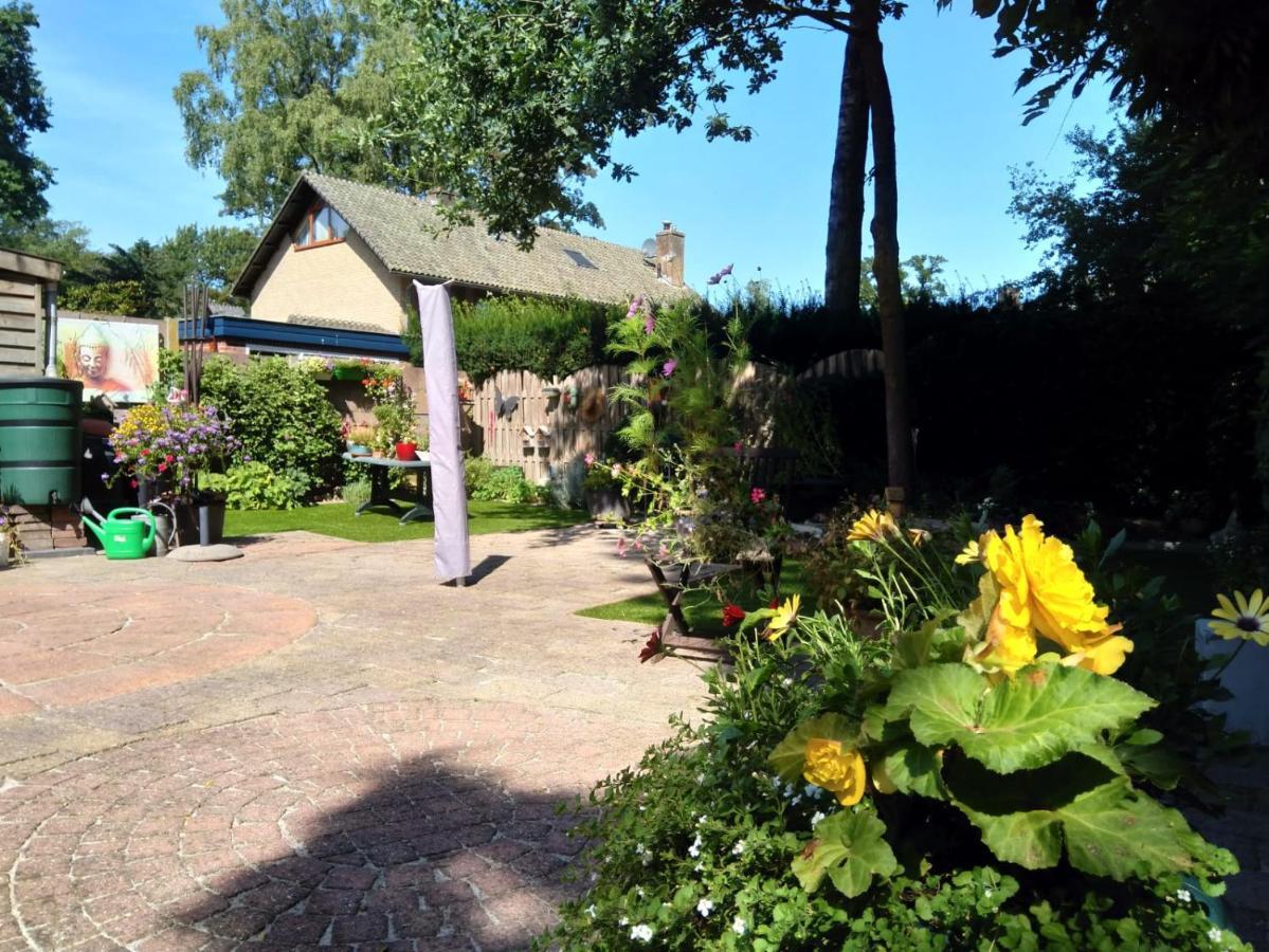 Bed & Breakfast De Ijsvogel 多尔威尔斯 外观 照片