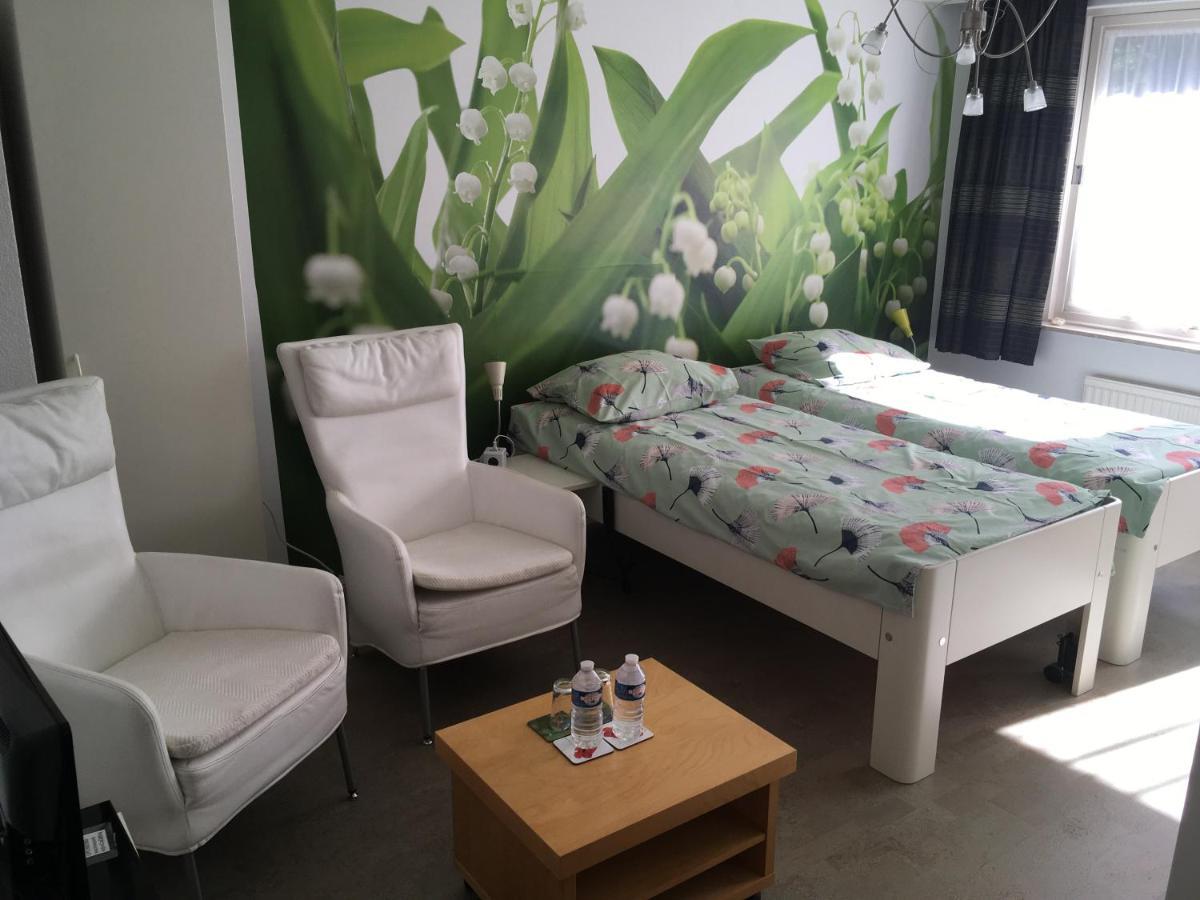 Bed & Breakfast De Ijsvogel 多尔威尔斯 外观 照片