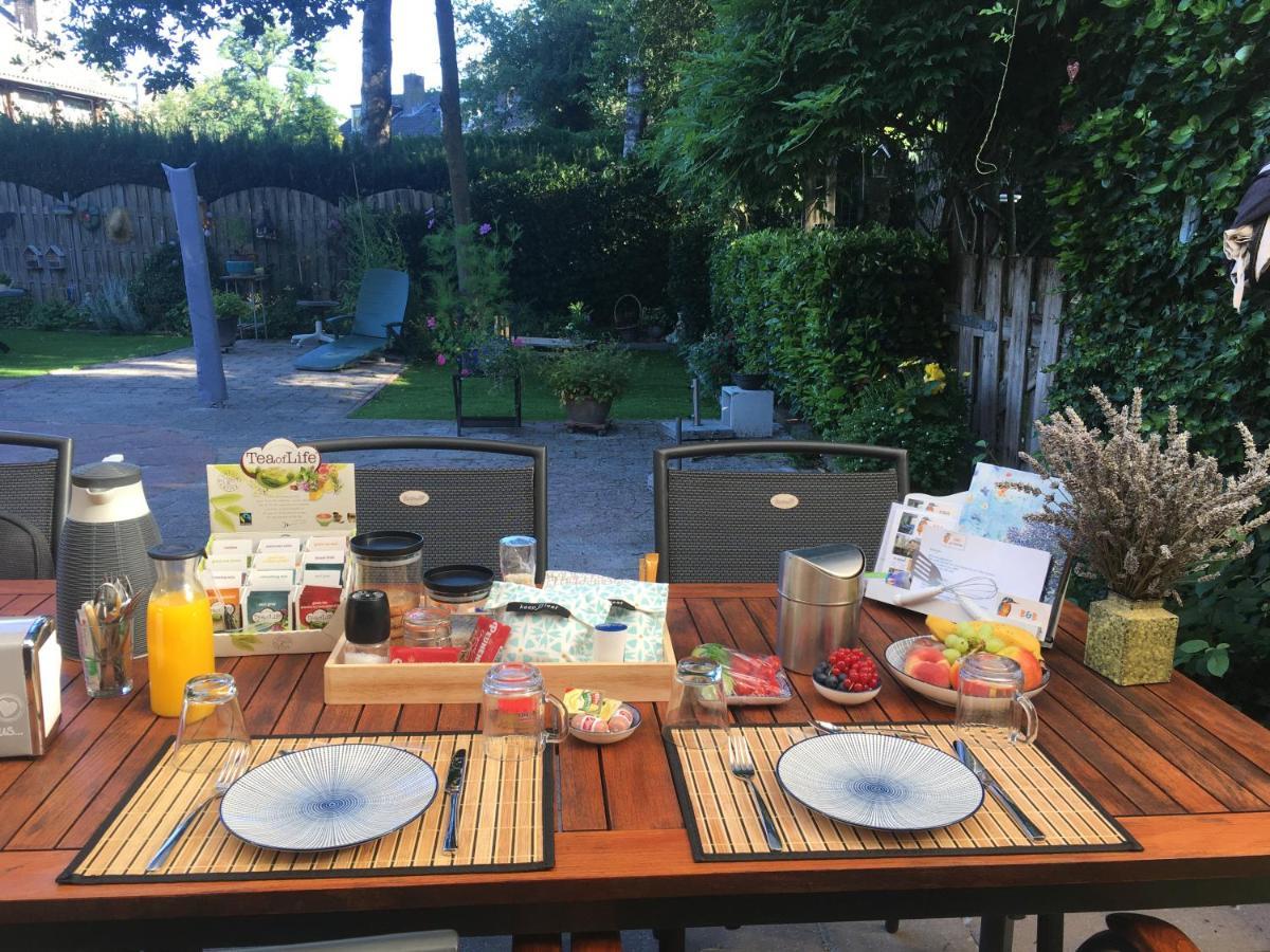 Bed & Breakfast De Ijsvogel 多尔威尔斯 外观 照片